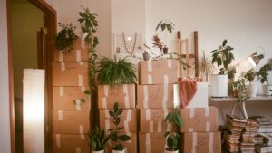Verhuisdozen gestapeld in een woonkamer, omringd door kamerplanten en een stapel boeken