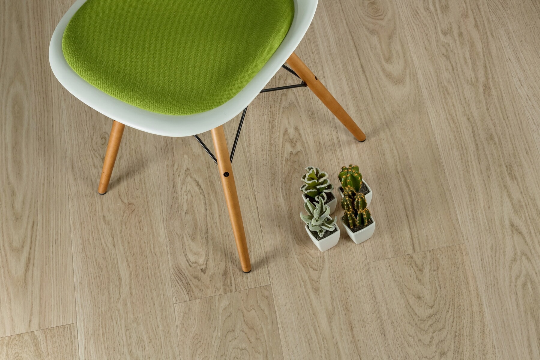 vloer stoel plant